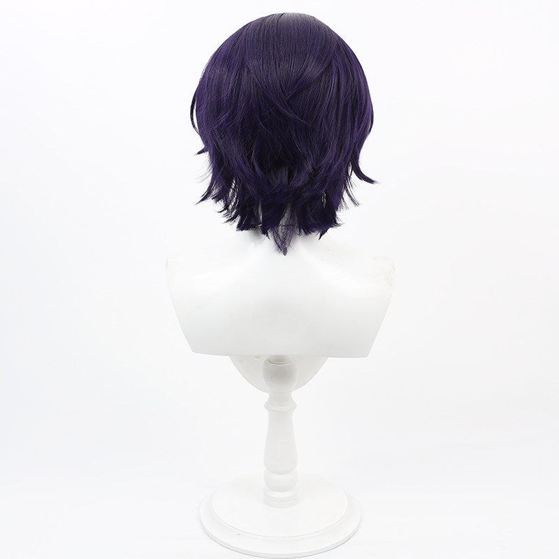 Cosplay Wigs Games Dr. Ratio Honkai: Star Rail
