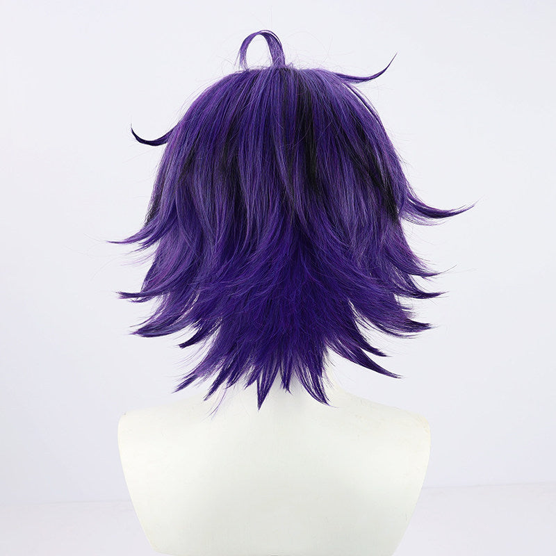Cosplay Wigs Setou Ichiya Purple Flip Style Noripro VTuber Wigs