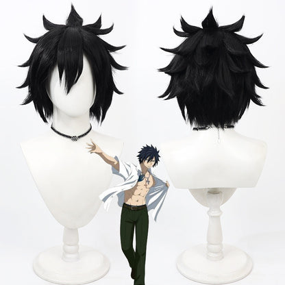 Anime Cosplay Wigs Fairy Tail Gray Fullbuster Black Wigs