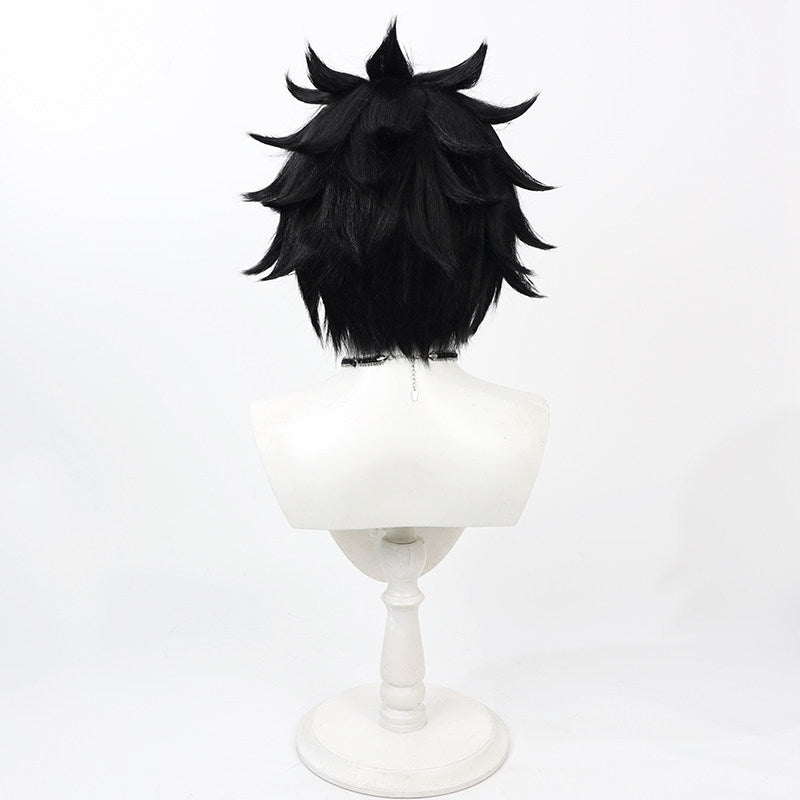 Anime Cosplay Wigs Fairy Tail Gray Fullbuster Black Wigs
