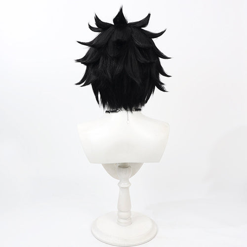 Anime Cosplay Wigs Fairy Tail Gray Fullbuster Black Wigs