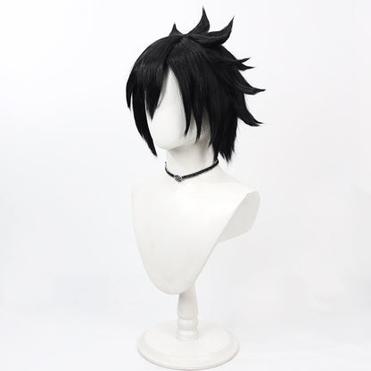 Anime Cosplay Wigs Fairy Tail Gray Fullbuster Black Wigs