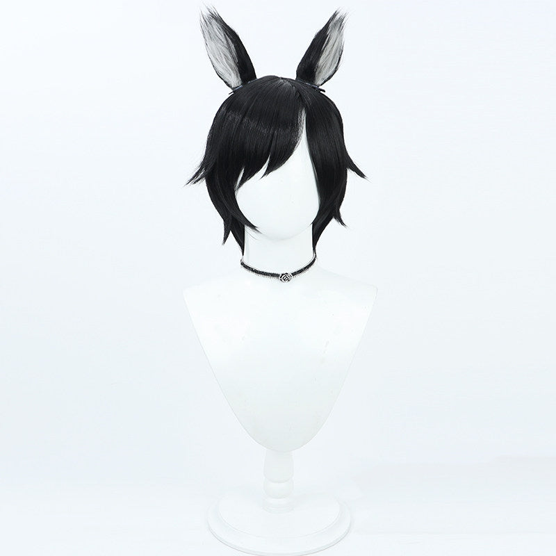 Anime Cosplay Wigs Izutsumi Black Wigs Delicious in Dungeon