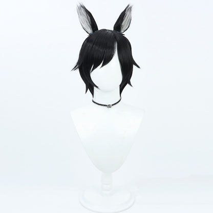 Anime Cosplay Wigs Izutsumi Black Wigs Delicious in Dungeon