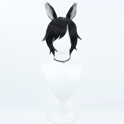 Anime Cosplay Wigs Izutsumi Black Wigs Delicious in Dungeon