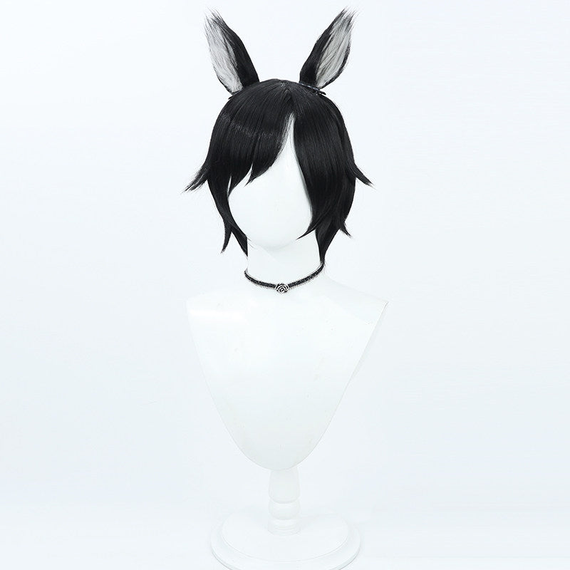Anime Cosplay Wigs Izutsumi Black Wigs Delicious in Dungeon