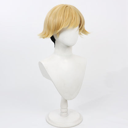 Anime Cosplay Wigs Land Yellow Wigs Frieren: Beyond Journey-s End