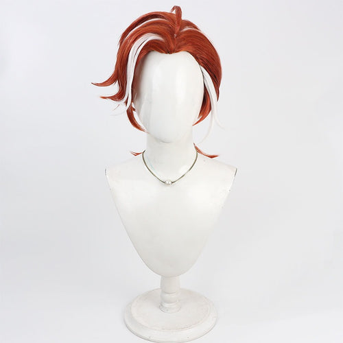 Anime Cosplay Wigs The Legend of Hei 2 Chi Nian