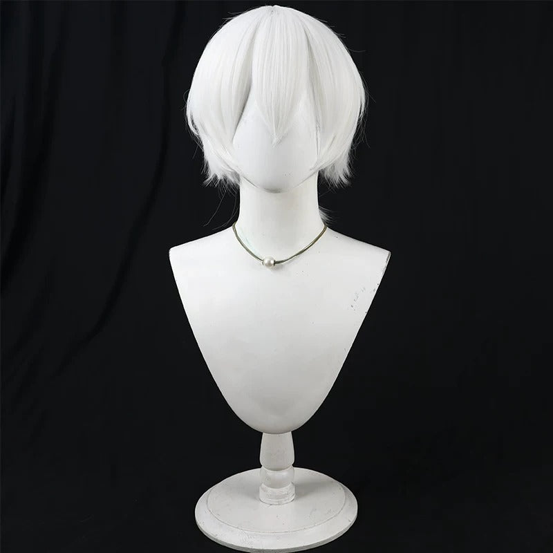 Anime Cosplay Wigs To Your Eternity Immortality Braid Wig