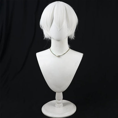 Anime Cosplay Wigs To Your Eternity Immortality Braid Wig