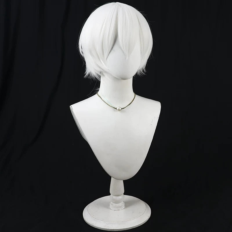 Anime Cosplay Wigs To Your Eternity Immortality Braid Wig