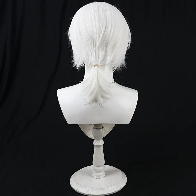 Anime Cosplay Wigs To Your Eternity Immortality Braid Wig