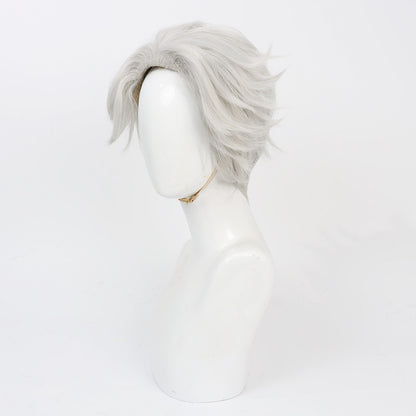 Anime Cosplay Wigs Wind Breaker Hajime Umemiya Silver Wigs