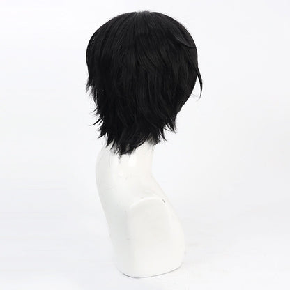 Anime Fire Force Cosplay Wigs Shinra Kusakabe Black Wigs