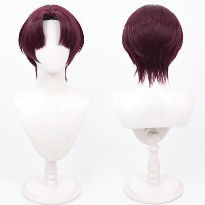 Anime Wind Breaker Cosplay Wigs Hayato Suo Short Wigs