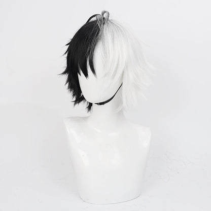 Cosplay Wigs Anime Wind Breaker Haruka Sakura