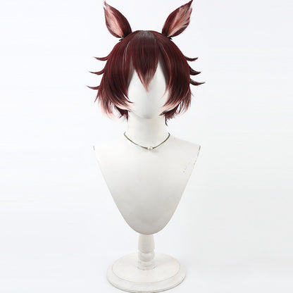 Cosplay Wigs Cat Beastman Gidel Gradient Wigs Disney Twisted-Wonderland