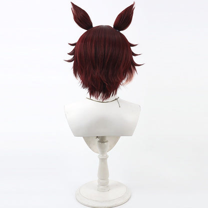 Cosplay Wigs Cat Beastman Gidel Gradient Wigs Disney Twisted-Wonderland