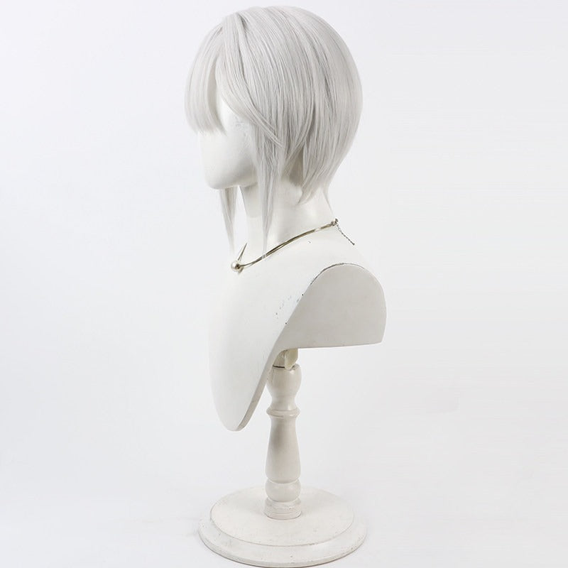 Cosplay Wigs Games Bambinata: Vitrum Punishing: Gray Raven
