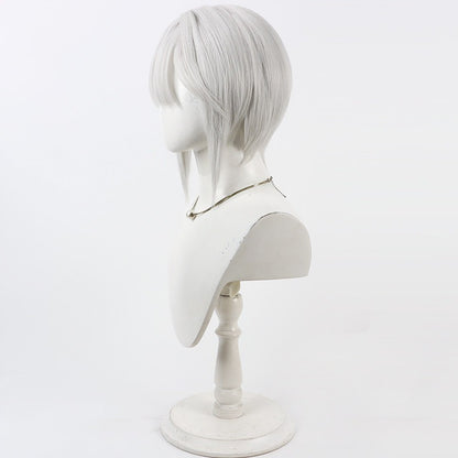 Cosplay Wigs Games Bambinata: Vitrum Punishing: Gray Raven
