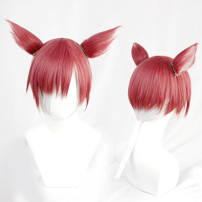 Cosplay Wigs Games FF14 Crystal Exarch Final Fantasy