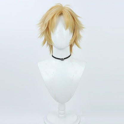 Cosplay Wigs Games Final Fantasy 10 Tidus