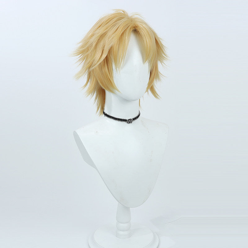 Cosplay Wigs Games Final Fantasy 10 Tidus