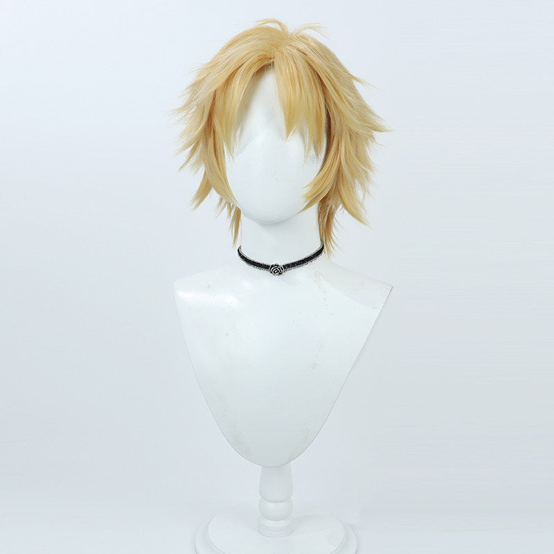 Cosplay Wigs Games Final Fantasy 10 Tidus
