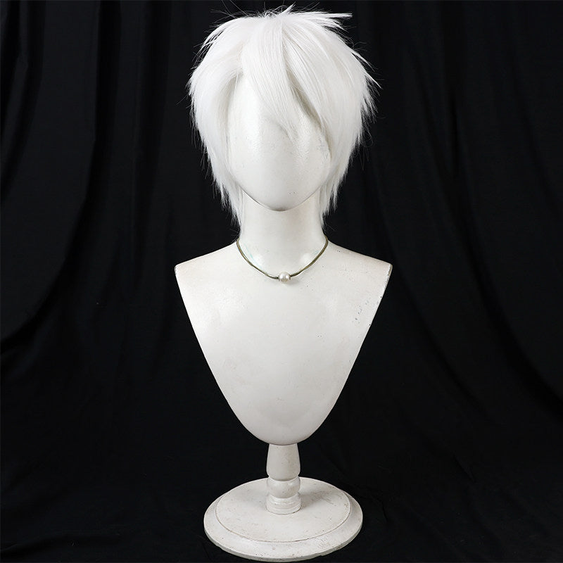 Cosplay Wigs Komazawa Rai Silver Short Wigs Cosmic Princess Kaguya!
