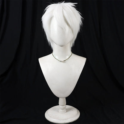Cosplay Wigs Komazawa Rai Silver Short Wigs Cosmic Princess Kaguya!