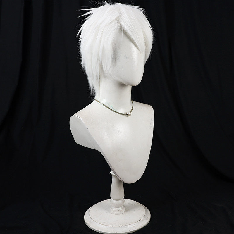 Cosplay Wigs Komazawa Rai Silver Short Wigs Cosmic Princess Kaguya!