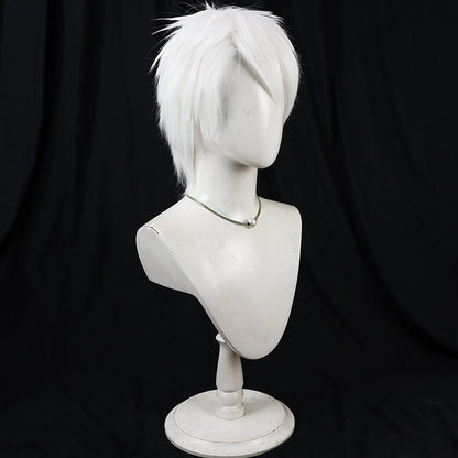 Cosplay Wigs Komazawa Rai Silver Short Wigs Cosmic Princess Kaguya!