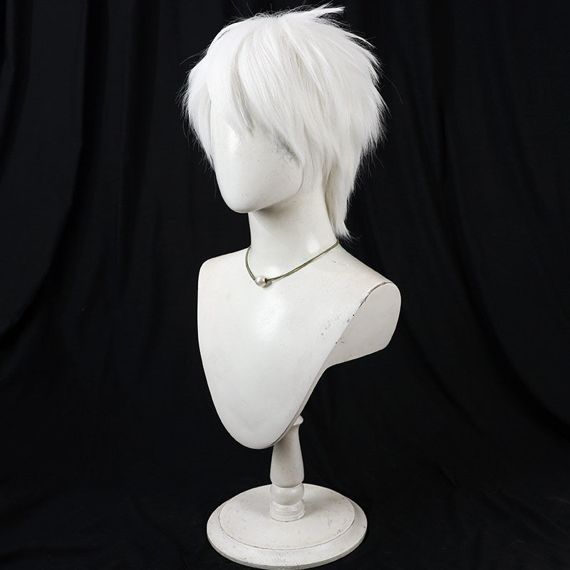 Cosplay Wigs Komazawa Rai Silver Short Wigs Cosmic Princess Kaguya!