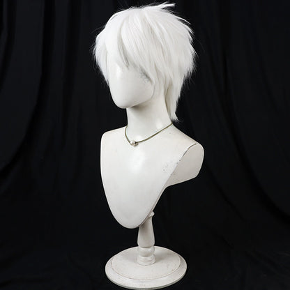 Cosplay Wigs Komazawa Rai Silver Short Wigs Cosmic Princess Kaguya!