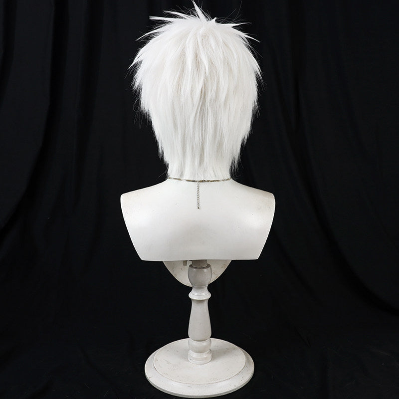 Cosplay Wigs Komazawa Rai Silver Short Wigs Cosmic Princess Kaguya!