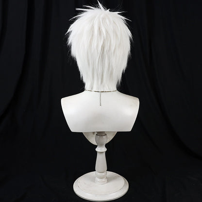 Cosplay Wigs Komazawa Rai Silver Short Wigs Cosmic Princess Kaguya!