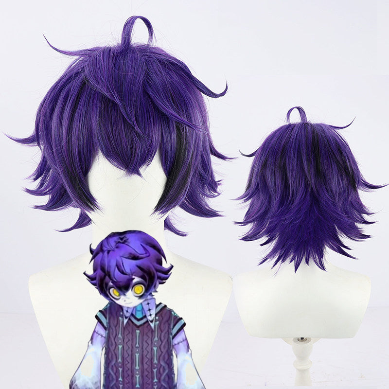 Cosplay Wigs Setou Ichiya Purple Flip Style Noripro VTuber Wigs