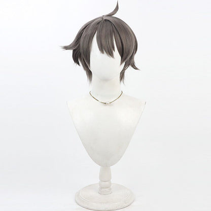 Cosplay Wigs Toyama Satoru Wonderful PreCure!