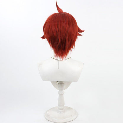 Cosplay Wigs Toyama Satoru Wonderful PreCure!