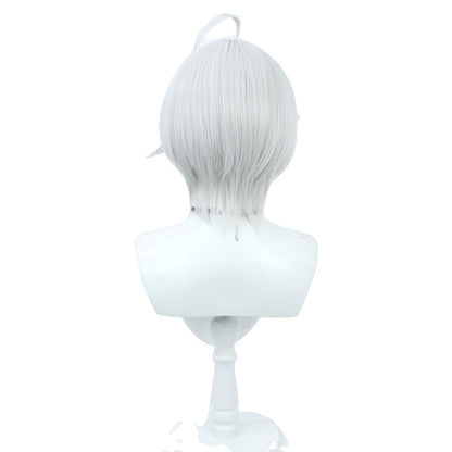 Erika Hatami Cosplay Wigs Blue Archive Silver Wigs Aris Studio