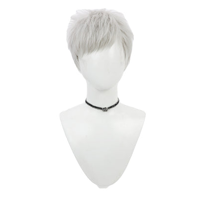 Games Cosplay Wigs Akihiko Sanada Grey Short Wigs Persona 3