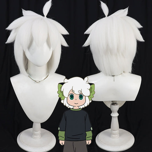 Hei Anime Cosplay Wigs The Legend of Hei 2 Black White Wigs
