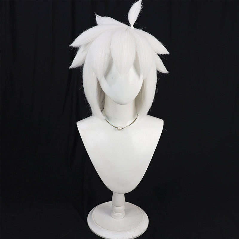 Hei Anime Cosplay Wigs The Legend of Hei 2 Black White Wigs