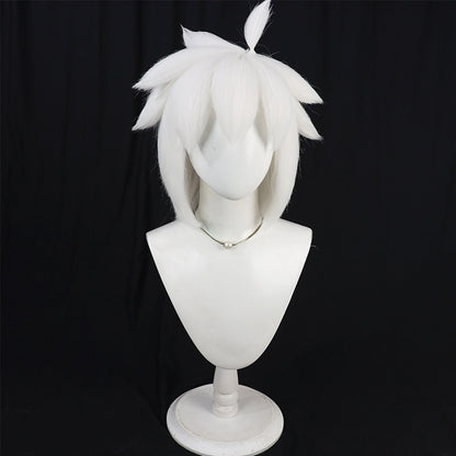 Hei Anime Cosplay Wigs The Legend of Hei 2 Black White Wigs