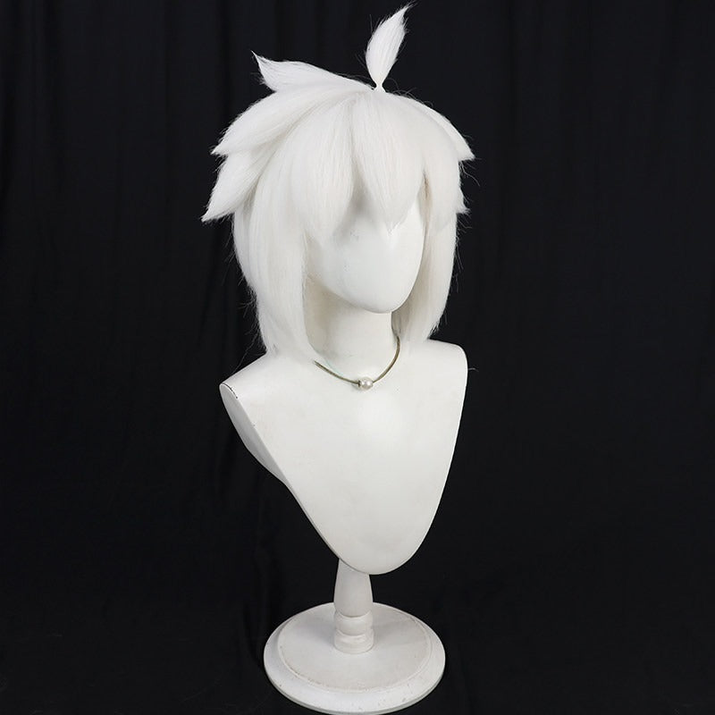 Hei Anime Cosplay Wigs The Legend of Hei 2 Black White Wigs