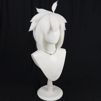 Hei Anime Cosplay Wigs The Legend of Hei 2 Black White Wigs