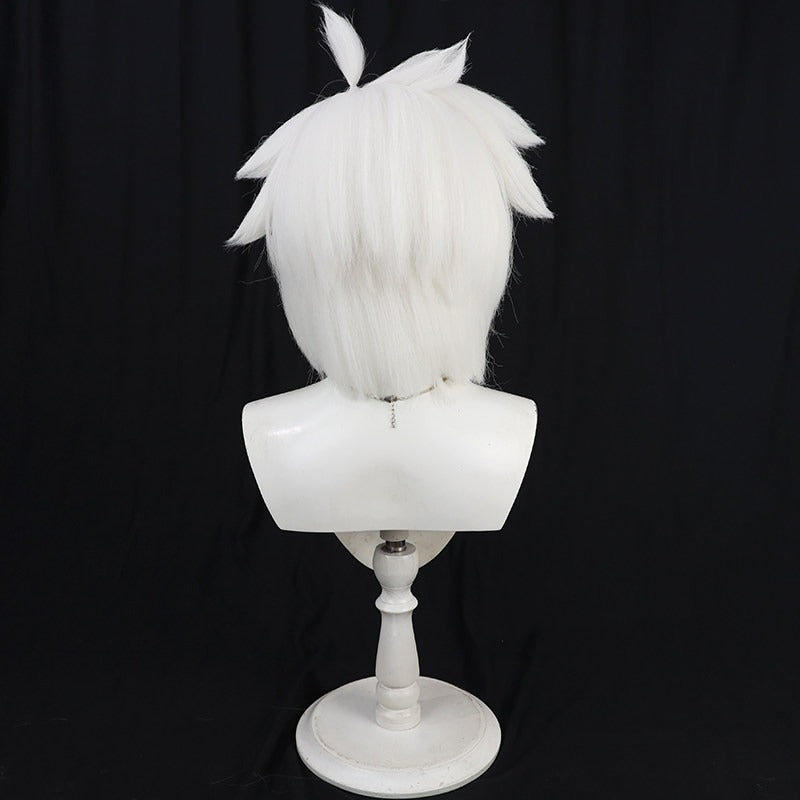 Hei Anime Cosplay Wigs The Legend of Hei 2 Black White Wigs