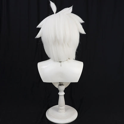 Hei Anime Cosplay Wigs The Legend of Hei 2 Black White Wigs