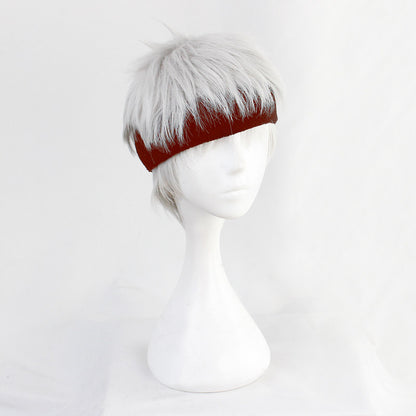 Kalim Al-Asim Cosplay Wigs Silver White Disney Twisted-Wonderland