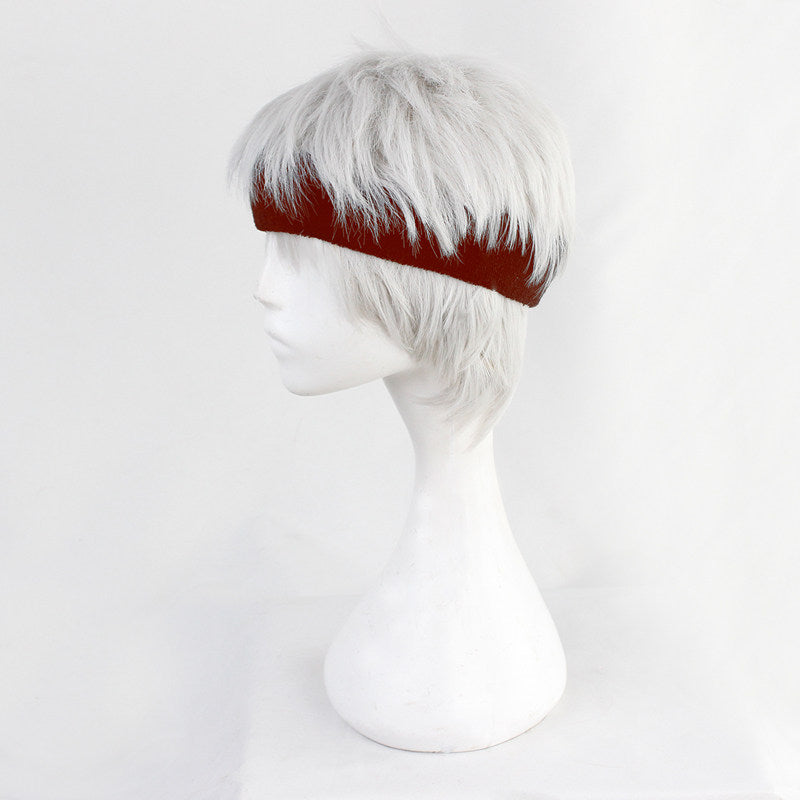 Kalim Al-Asim Cosplay Wigs Silver White Disney Twisted-Wonderland